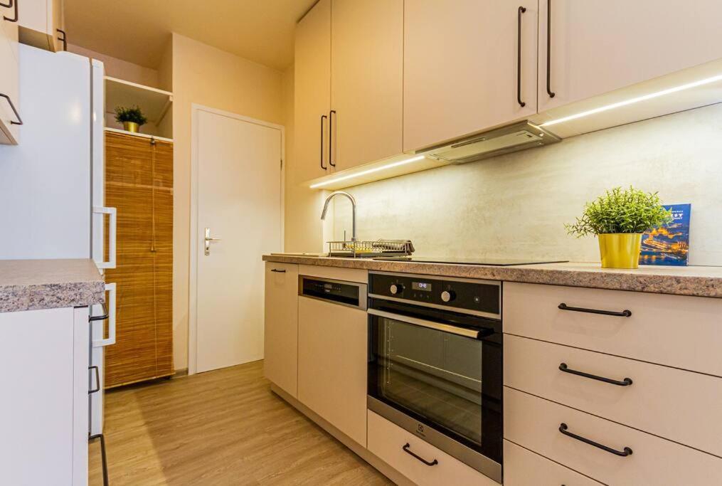 Roomy Apartment 80Sqm At City Center Free Parking Space, Ac & Balcony, Separate Ac In All Four Rooms Budapeste Exterior foto