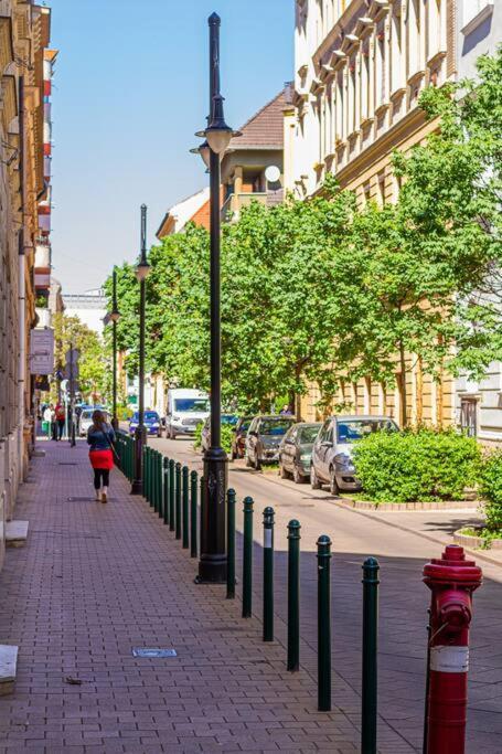 Roomy Apartment 80Sqm At City Center Free Parking Space, Ac & Balcony, Separate Ac In All Four Rooms Budapeste Exterior foto