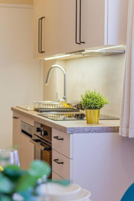 Roomy Apartment 80Sqm At City Center Free Parking Space, Ac & Balcony, Separate Ac In All Four Rooms Budapeste Exterior foto