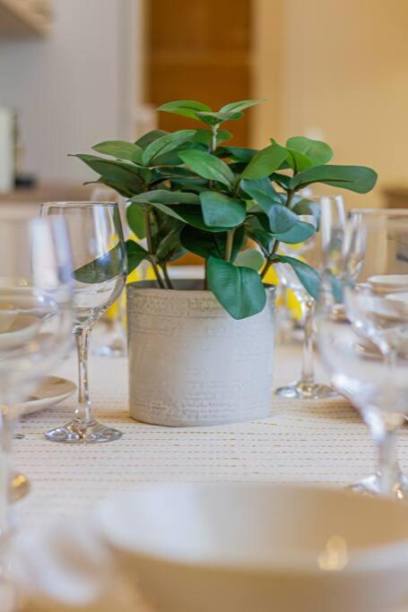 Roomy Apartment 80Sqm At City Center Free Parking Space, Ac & Balcony, Separate Ac In All Four Rooms Budapeste Exterior foto