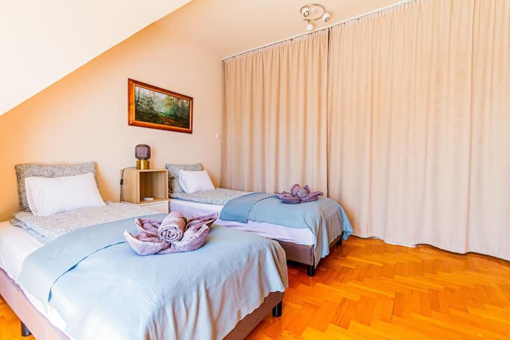 Roomy Apartment 80Sqm At City Center Free Parking Space, Ac & Balcony, Separate Ac In All Four Rooms Budapeste Exterior foto