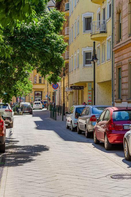 Roomy Apartment 80Sqm At City Center Free Parking Space, Ac & Balcony, Separate Ac In All Four Rooms Budapeste Exterior foto