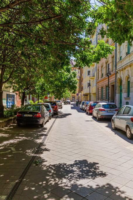 Roomy Apartment 80Sqm At City Center Free Parking Space, Ac & Balcony, Separate Ac In All Four Rooms Budapeste Exterior foto